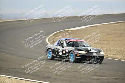 media/Jan-26-2025-CalClub SCCA (Sun) [[cfcea7df88]]/Group 4/Race/